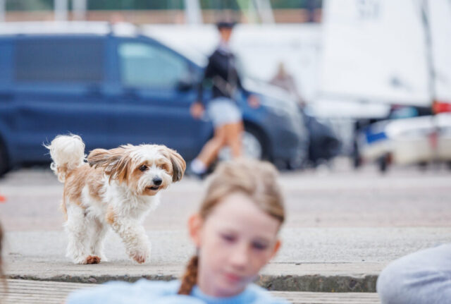 ParaNordic2025 Day2 30 1024x689