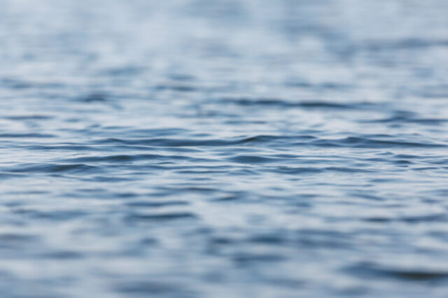 ParaNordic2025 Day2 41 1024x682